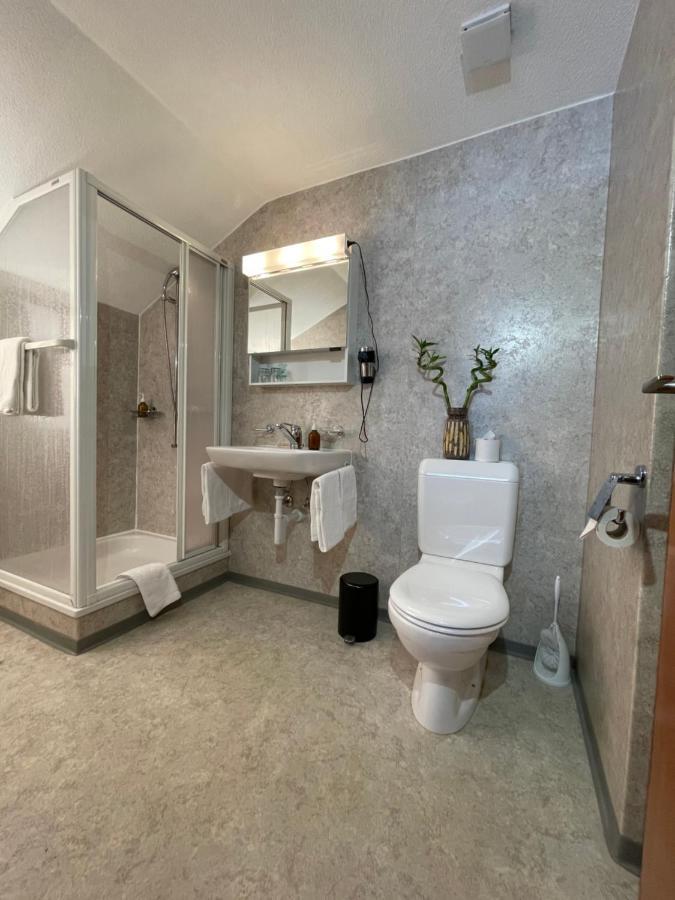 Dinh Residence Zweisimmen Dış mekan fotoğraf